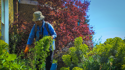 Groundwork Micro grants