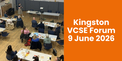 vcse9june