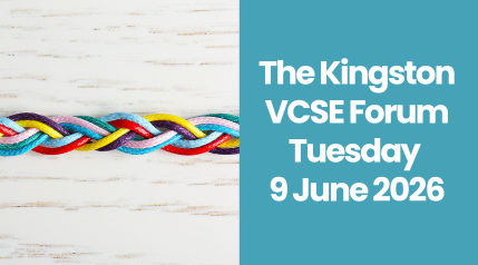 vcse9june